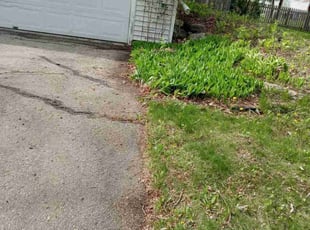 Leaf Removal by Kevin Rhyne for William B. in Madison, WI