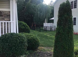Bush Trimming by Allison Conley for Tequilla M. in Mountain Top, PA