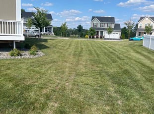 Danielle C.'s Lawn Mowing Service service result