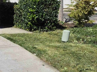 Bush Trimming by Juan Cabrales for Narom L. in Elk Grove, CA