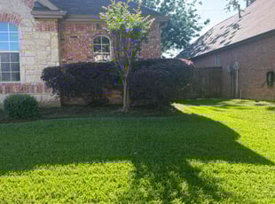 Bush Trimming by Gabriel Piedra for Porcia G. in Flower Mound, TX