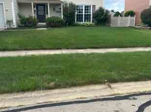 George H.'s Grass Cutting service result