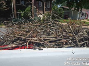 Denise P.'s Cleanups service result