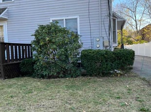 Bush Trimming by Randy Regis for Eskinder F. in Boston, MA