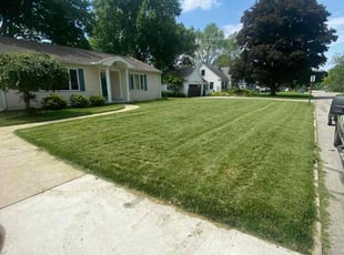 Rana K.'s Lawn Mowing service result