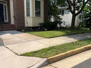 Austin B.'s Lawn Mowing service result