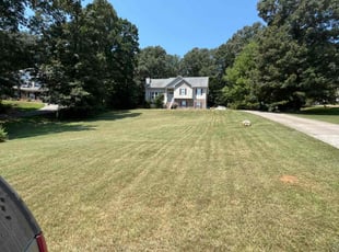 Mickala W.'s Lawn Mowing service result