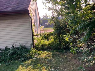 Bush Trimming by Markese Seals for Daniel C. in Bellmawr, NJ