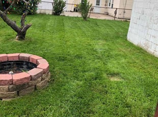 Jasmine W.'s Lawn Care service result