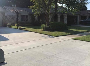 Elana H.'s Lawn Care service result