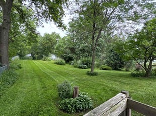 Letisha M.'s Lawn Care service result