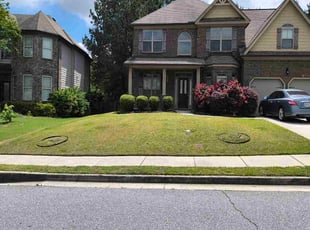 Carnella C.'s Lawn Mowing service result
