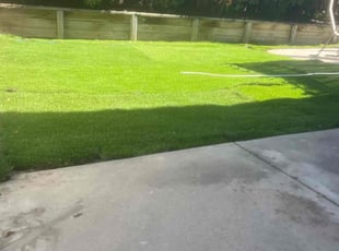 Scout H.'s Lawn Mowing Service service result