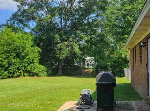 Debbie N.'s Lawn Mowing service result