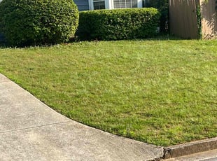 Bush Trimming by Louis Sampson for Jayme S. in Austell, GA