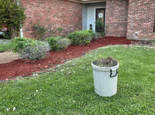 Weeding by Tajai Gammage for Terrance T. in Brandon, MS