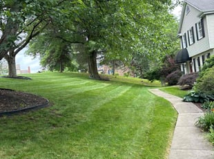 Dorothy E.'s Lawn Service service result
