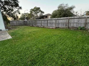 Rosetta P.'s Lawn Service service result