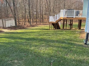 Darrell P.'s Lawn Mowing service result