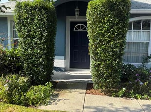 Bush Trimming by Conrado Lara for Dean S. in Valrico, FL