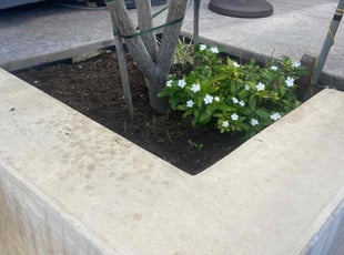 Weeding by George Islas for Ruben V. in Huntington Beach, CA