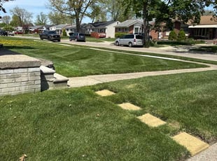 Camille R.'s Lawn Care service result