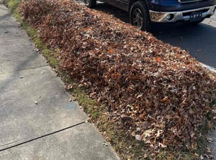 Leaf Removal by Adrian Franco-Gonzalez for Susan G. in Toledo, OH