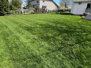 Sherry C.'s Lawn Care service result