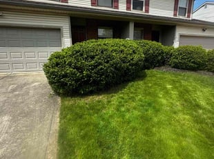 Bush Trimming by Ronald Coleman for Galal A. in Dublin, OH