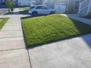 Alicia D.'s Lawn Mowing Service service result
