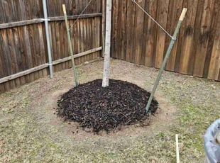 Mulching by Ernest Howard for Sarah S. in Lewisville, TX