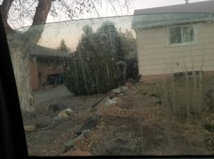 Bush Trimming by Kevin Johnson for Anne v. in Denver, CO
