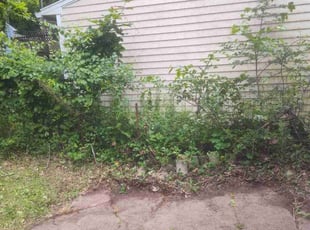 Cleanups by Lionel Gray for Dawn S. in Hamden, CT