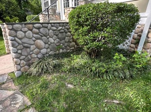 Bush Trimming by Fidel Rodriguez for Connor N. in Arlington, VA