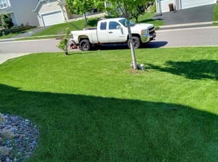 Faisal M.'s Lawn Service service result