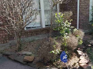 Weeding by Gabriel Pearson for Belinda M. in Missouri City, TX