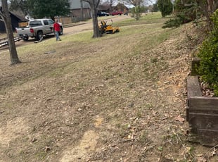 Leaf Removal by Nicholas Turner for Eric P. in Clinton, MS