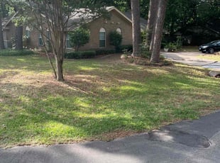 Cleanups by Johnny Shaw for Greg H. in Grapevine, TX