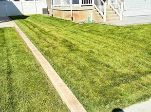 Lia E.'s Lawn Care service result