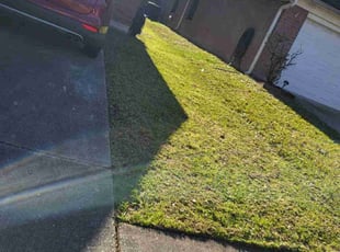 Leaf Removal by Pamela Gomez for Kristin R. in Humble, TX