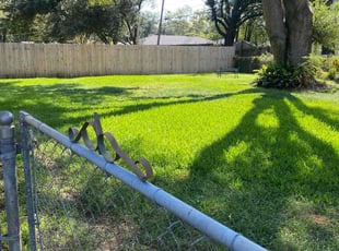 Danielle T.'s Lawn Care service result
