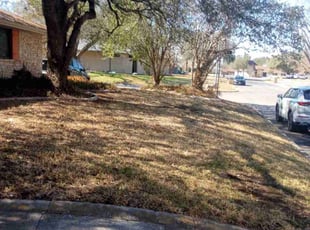 Leaf Removal by Christopher Moreno for LaDana R. in San Antonio, TX