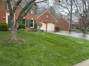 Pam T.'s Lawn Mowing Service service result
