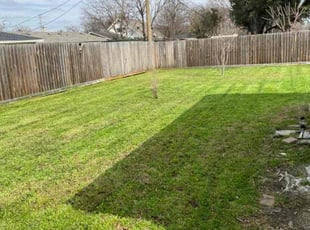 Brad L.'s Yard Cutting service result