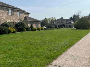 Bob B.'s Lawn Care service result