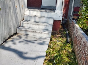 Bush Trimming by Allan Roberts for Ira A. in Washington, DC