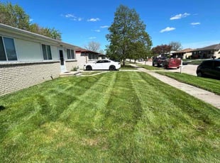 Stephen T.'s Lawn Care service result