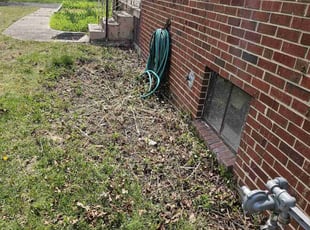 Donney R.'s Leaf Removal service result