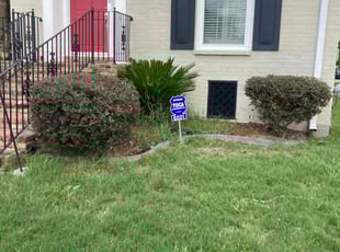 Bush Trimming by Jordan Verhoeven for Elin H. in New Orleans, LA