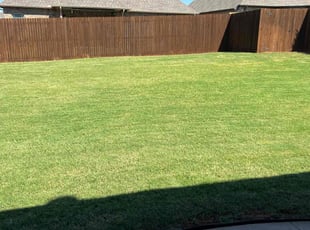 Ty F.'s Lawn Mowing service result